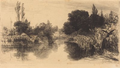 Shere Mill Pond (La Piastra Maggiore) da Francis Seymour Haden