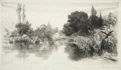 Stagno di Shere Mill (La Tavola Maggiore) da Francis Seymour Haden