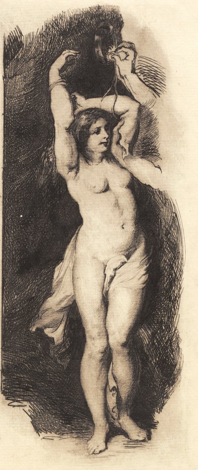 Andromeda, dopo Rubens da Frans Schwartz