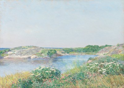 Il piccolo stagno, Appledore, 1890 da Frederick Childe Hassam