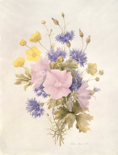 Fiori di campo, 1842 da French School