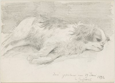 Studi di cani da Friedrich August von Kaulbach