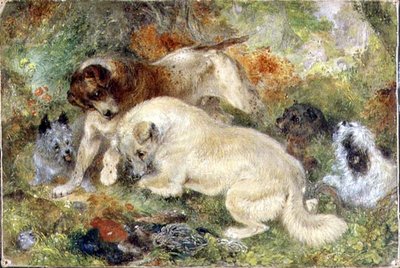 Terrier e conigli in un bosco da George Armfield