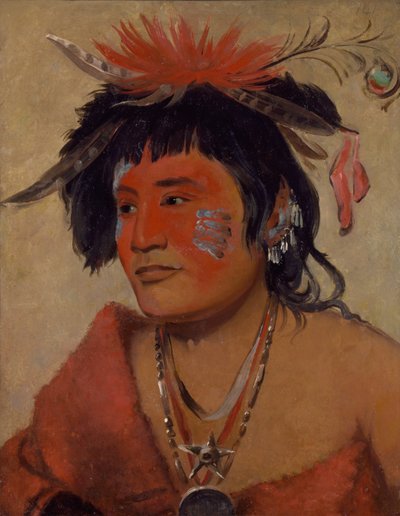 Pah-shee-náu-shaw, un guerriero da George Catlin