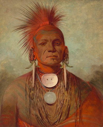 See-non-ty-a, un uomo di medicina Iowa da George Catlin