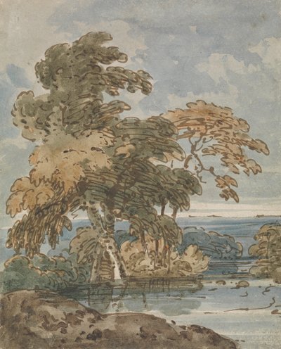 Alberi vicino a un fiume da George Chinnery