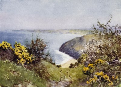 Carbis Bay da George Franck Nicholls