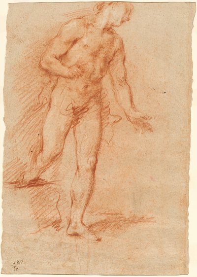 Nudo maschile da Gian Antonio Guardi