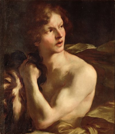 Immagine sconosciuta da Gian Lorenzo Bernini