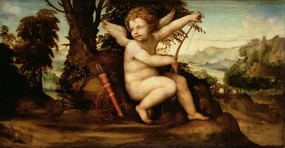 Cupido in un paesaggio, c.1510 da Giovanni Antonio Bazzi Sodoma