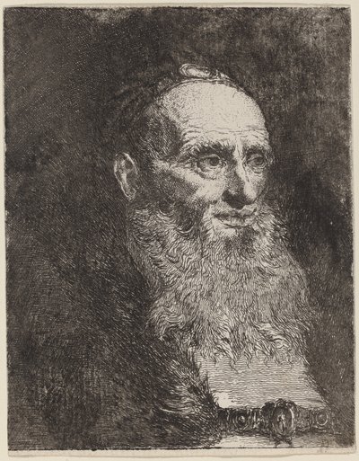 Vecchio con la barba da Giovanni Domenico Tiepolo