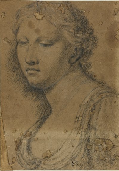 Busto di Donna da Girolamo da Carpi