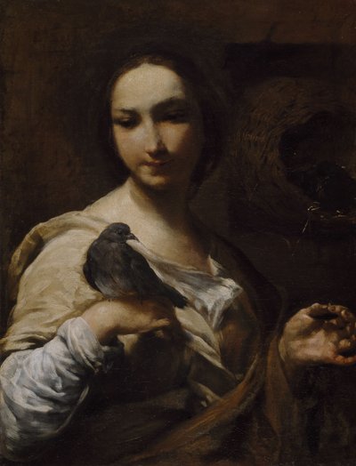 Ragazza che tiene una colomba da Giuseppe Maria Crespi