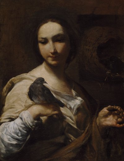 Ragazza con una colomba, 1721-27 da Giuseppe Maria Crespi