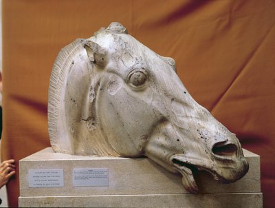 Testa di un cavallo di Selene da Greek