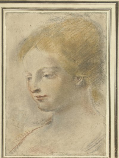 Testa di una giovane donna, con lo sguardo abbassato da Guercino