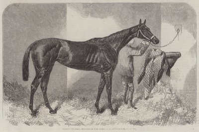 Brown Duchess, vincitrice delle Oaks da Harry Hall