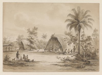 Campo degli Arawak o Caraibi da Hendrik Huygens