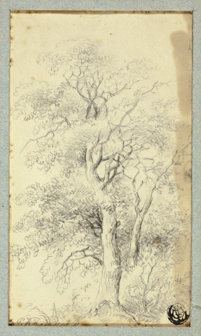 Albero da Hendrik Pieter Koekkoek