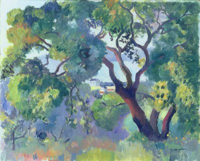 Paesaggio a Saint-Tropez da Henri Charles Manguin