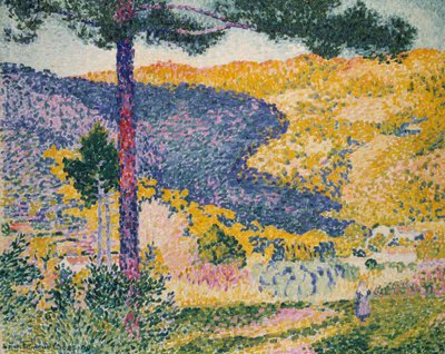 Valle con Abete (Ombra sulla Montagna) da Henri Edmond Cross