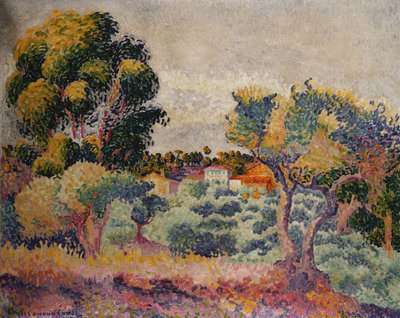 Eucalipto e uliveto da Henri Edmond Cross