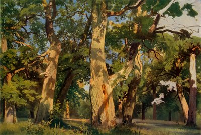 Querce al crepuscolo, 1887, 1965 da Ivan Ivanovich Shishkin