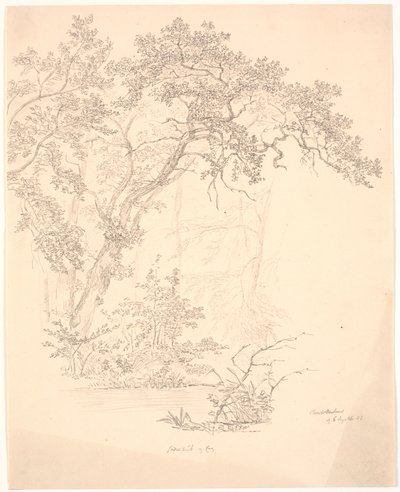 Alberi da J.P. Møller