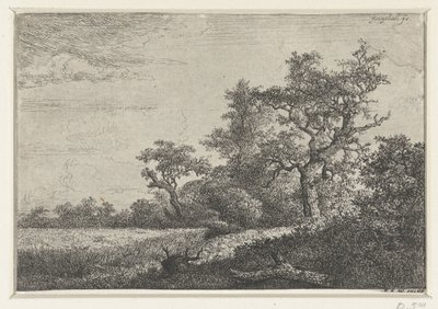 Il campo di grano da Jacob van Ruisdael