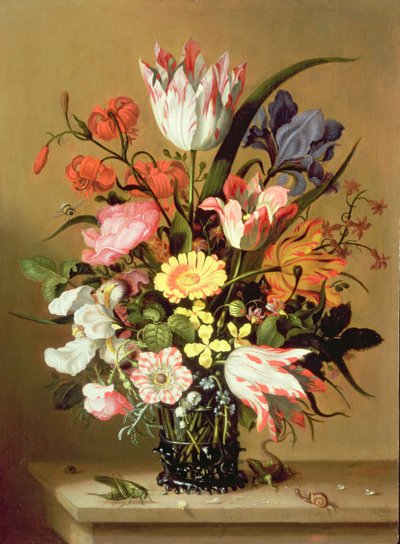 Fiori in un vaso, 1635 da Jacob Marrel