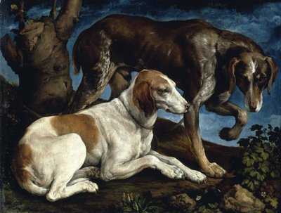 Due cani da caccia, 1548-1549 da Jacopo Bassano il vecchio