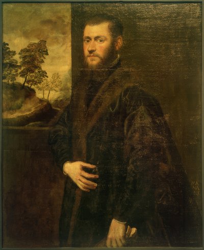 Giovane nobile da Jacopo Robusti Tintoretto