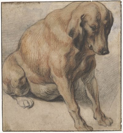 Cane seduto da Jacques Jordaens