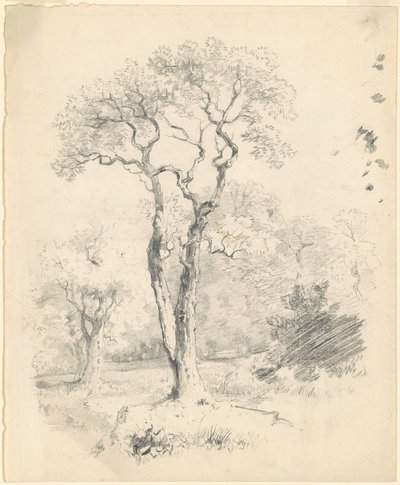 Una Radura di Alberi da James Goodwyn Clonney