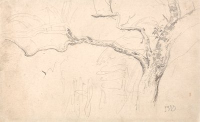 Studio di un albero da James Ward