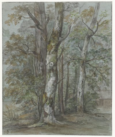 Studio di un albero da Jan Dasveldt