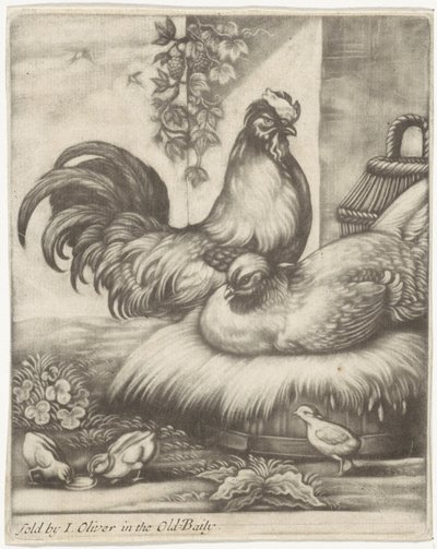 Gallo e gallina da Jan Griffier (I)