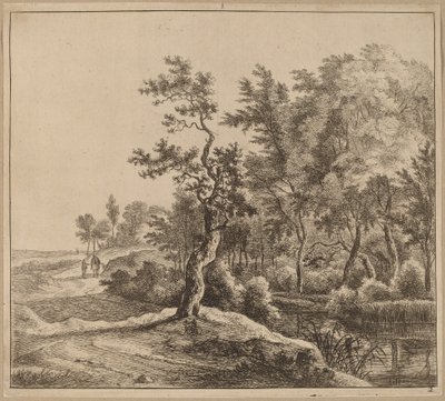 Paesaggio con strada tortuosa da Jan Hackaert