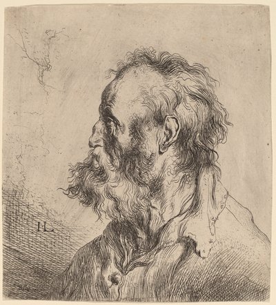 Busto di un vecchio barbuto da Jan Lievens