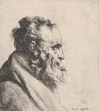 Busto di un Vecchio da Jan Lievens