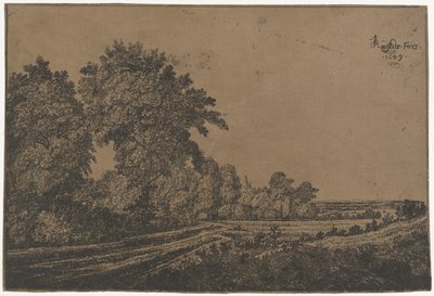 Strada di campagna con alberi da Jan Ruyscher