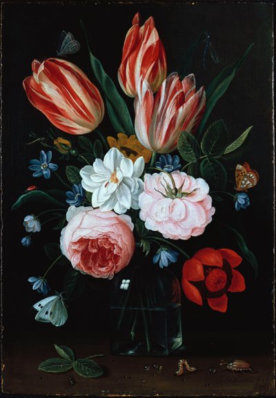 Fiori in un Vaso da Jan van Kessel