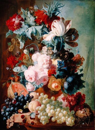 Fiori e Frutta da Jan van Os