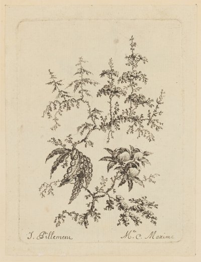 Fiore fantastico da Jean Baptiste Pillement