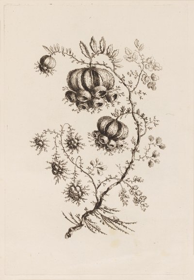 Ramo di fiori, da "Fleures Persannes" da Jean Baptiste Pillement