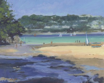 Salcombe Millbay al mattino da Jennifer Wright