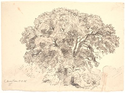 Studio di alberi. Giardino di Classen da Joakim Frederik Skovgaard