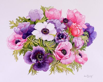 Anemoni da Joan Thewsey