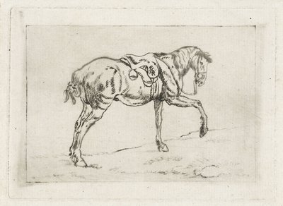 Cavallo sellato da Joannes Pieter Visser Bender