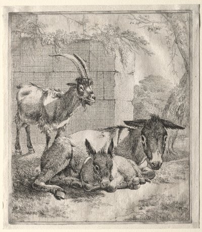 Capra e asini da Johann Heinrich Roos